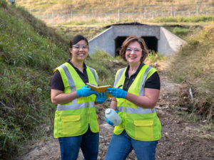 environmental testing