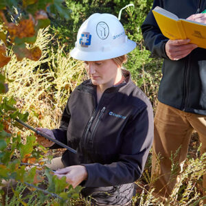 Environmental engineer by tree