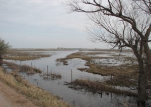 drummond flats