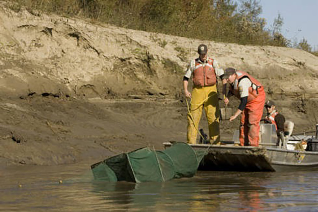Water Testing Risk Informed Alternative Treatments for the ...