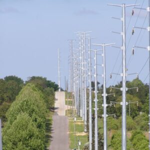 Row of power lines and poles.